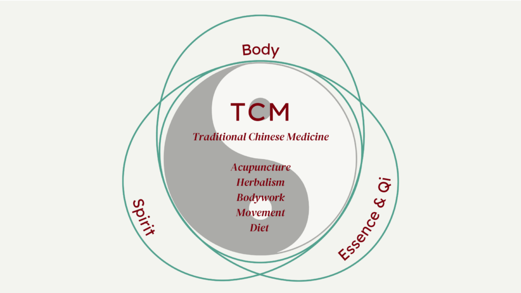 Venn diagram graphic representing the principles of Traditional Chinese Medicine. The middles shows that Traditional Chinese Medicine includes acupuncture, herbalism, bodywork, movement, and diet. The interconnecting elements of Traditional Chinese medicine are Body, Essence & Qi, Spirit.